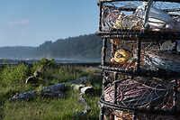 La push