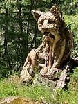 IMG_6234