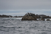 IMG_6254a