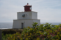 IMG_6259a