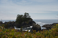 IMG_6259b