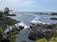 IMG_6260