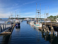 IMG_6287