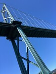 IMG_6310