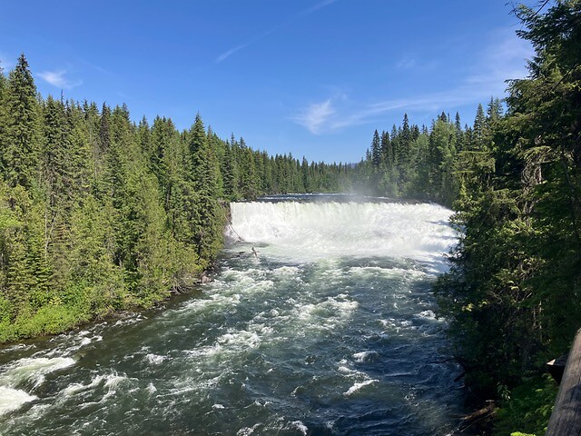 dawson Falls