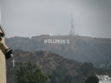 IMG_2529