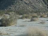 IMG_2694