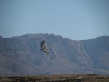 IMG_3199