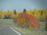 IMG_3482