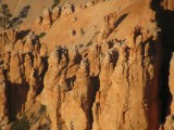 IMG_3579