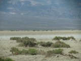 IMG_3874