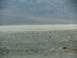 IMG_3880