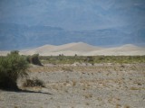 IMG_3899