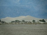 IMG_3901