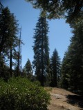 IMG_3953