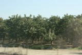IMG_7999