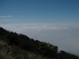 IMG_4454