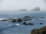 IMG_4472