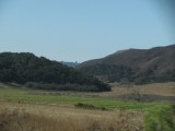 IMG_4478
