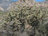 IMG_0297