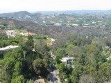 IMG_1103