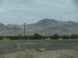 IMG_1126