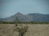 IMG_1127