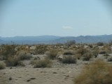 IMG_1129