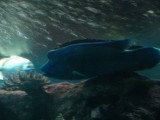 IMG_1319