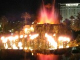 IMG_1439