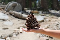 Palm Springs Aerial Tramway