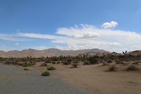 Joshua Tree National Park