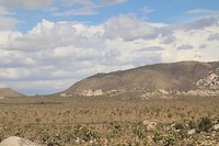 Joshua Tree National Park