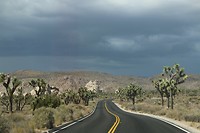 Joshua Tree National Park