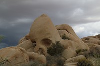 Joshua Tree National Park, skull rock