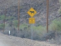 Lake Havasu