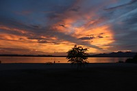 Lake Havasu