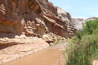 Capitol Reef National Park