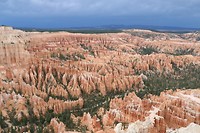 IMG_7555
