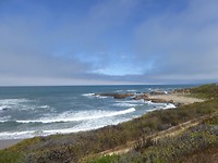 Monterey