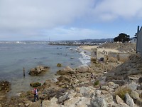 Monterey