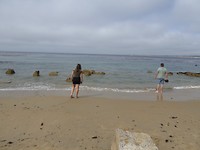 Monterey