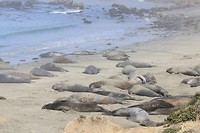 Santa Barbara