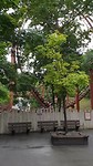 20180802_175453