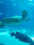 IMG-20180807-WA0013