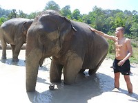 IMG_20190313_193338_391