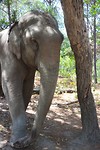 SAM_8937