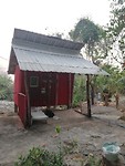IMG_20190312_073945
