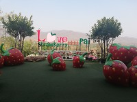IMG_20190311_153847