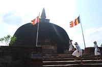 SAM_9755